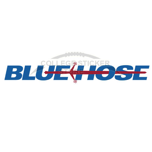 Homemade Presbyterian Blue Hose Iron-on Transfers (Wall Stickers)NO.5924